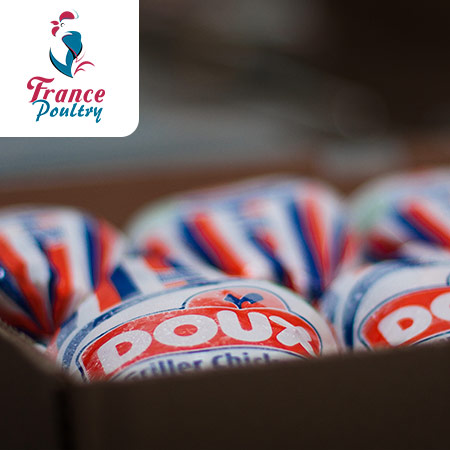 Odoo - Echantillon n°1 pour trois colonnes