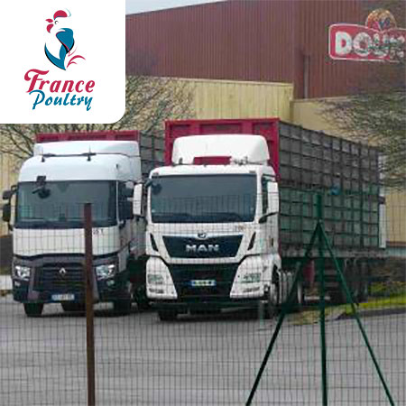 Odoo - Echantillon n°1 pour trois colonnes