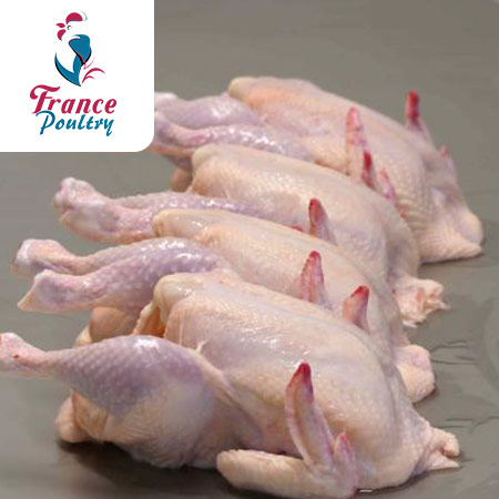 Odoo - Echantillon n°1 pour trois colonnes
